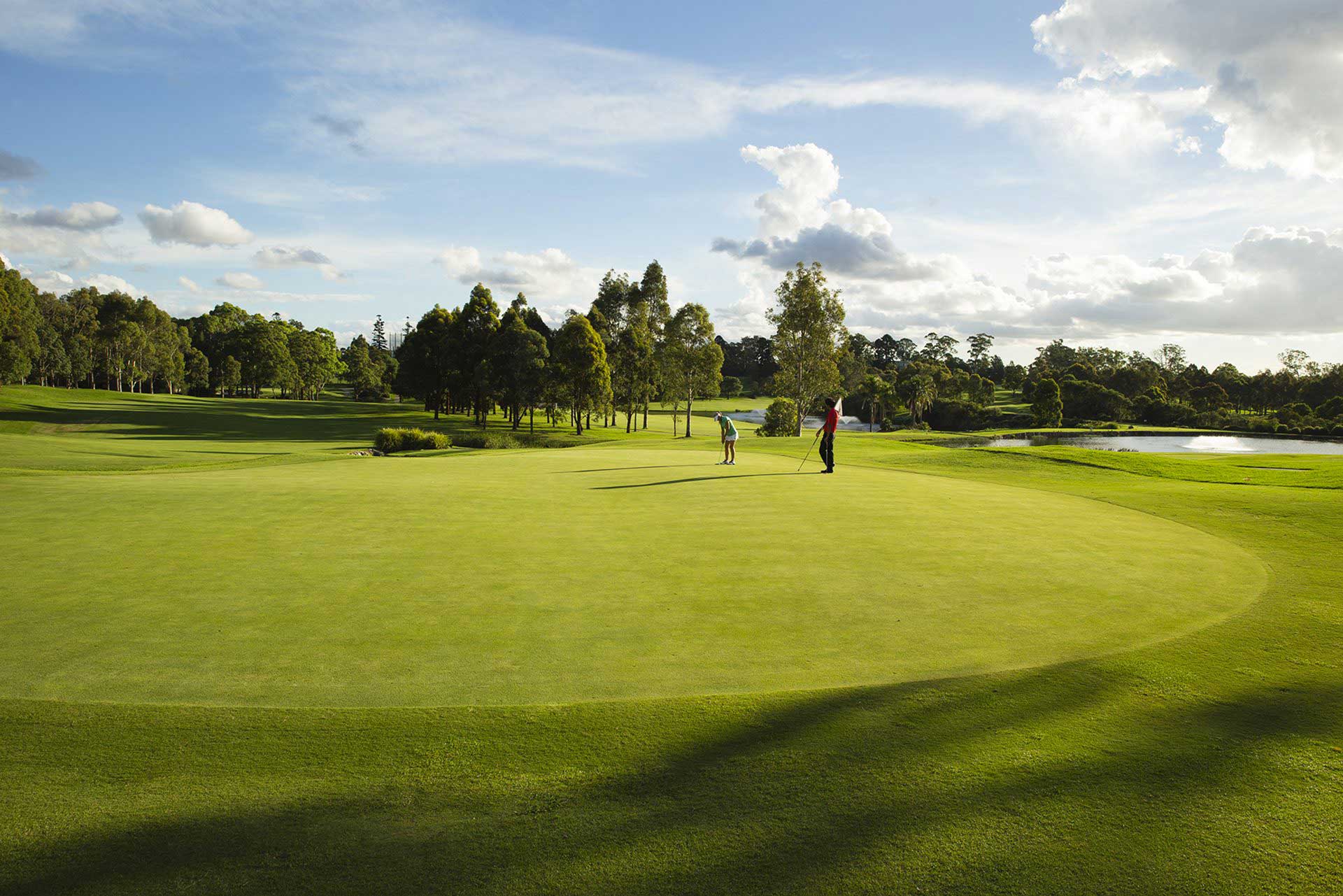 Golf course background